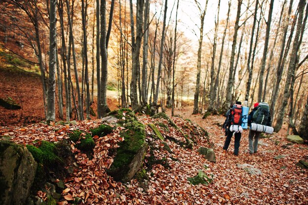 Dos turistas con mochila caminando por el bosque de otoño