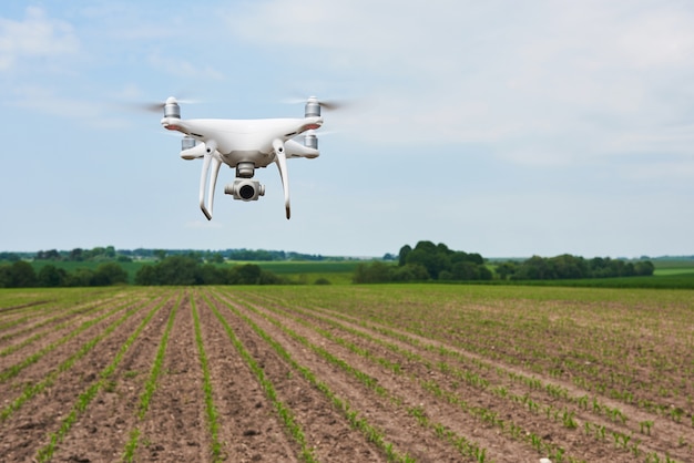 Drone quad copter con cámara digital de alta resolución en campo de maíz verde, agro