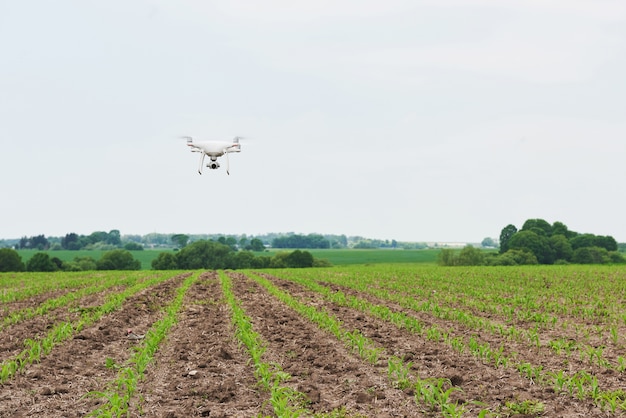 Drone quad helicóptero con cámara digital de alta resolución en campo de maíz verde