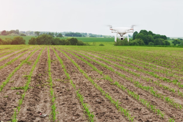 Drone quad helicóptero con cámara digital de alta resolución en campo de maíz verde