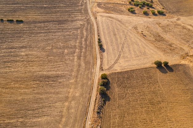 Drone shot de un campo con una carretera