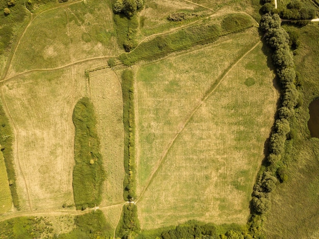 Drone vista del paisaje cerca de Teddy Bear Woods, Weymouth, Dorset