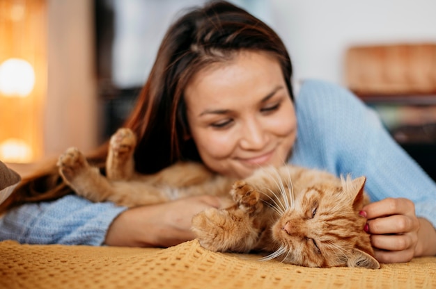 Dueño acariciando adorable gato