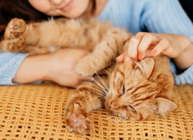 Dueño acariciando adorable gato