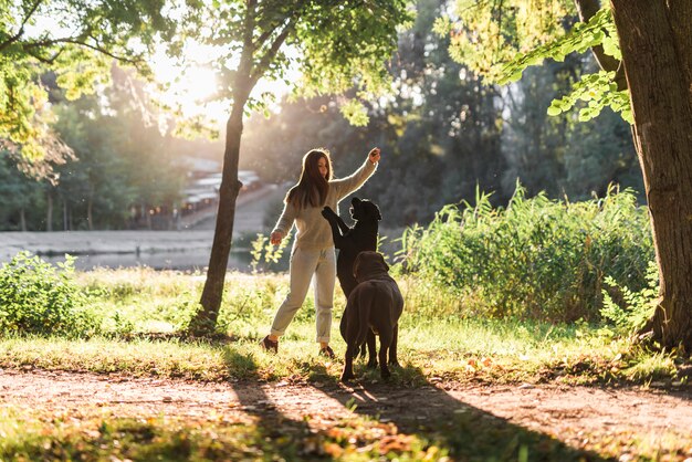 Dueño femenino del animal doméstico con dos perros que juegan con la bola en parque