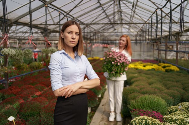 Dueño de invernadero sonriente posando con los brazos cruzados con muchas flores y un colega sosteniendo una olla con crisantemos rosados bajo techo de vidrio