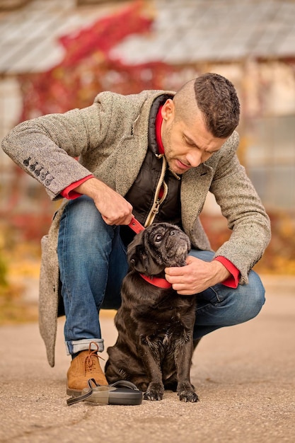 El dueño de una mascota pone un collar de perro en el cuello de su mascota