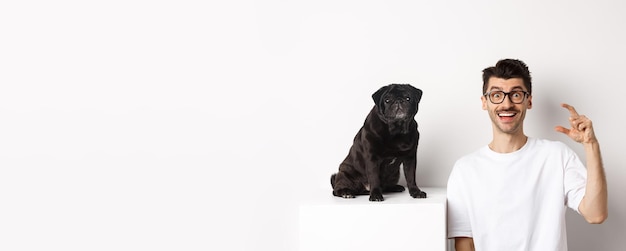 Dueño de un perro feliz sentado cerca de un lindo pug negro sonriendo y mostrando un pequeño fondo blanco de tamaño pequeño