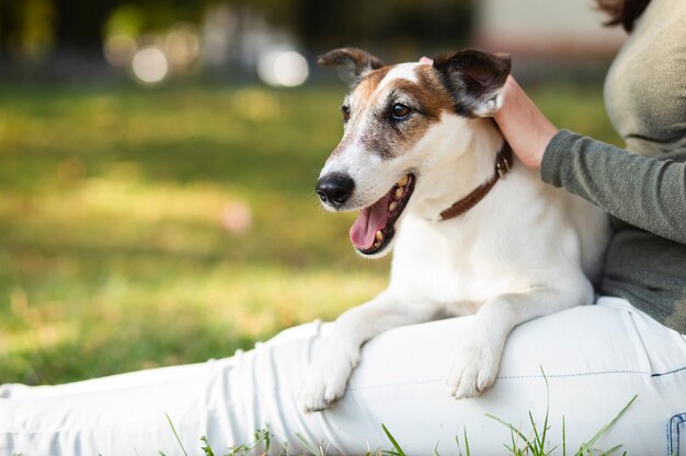 Dueño que acaricia el perro en el parque