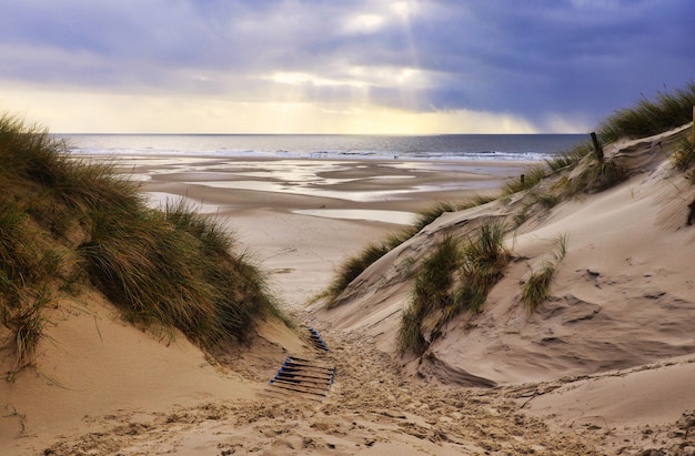 Dunas de arena en Amrum, Alemania, frente a la playa