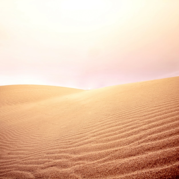 Dunas de arena y el cielo en el desierto.