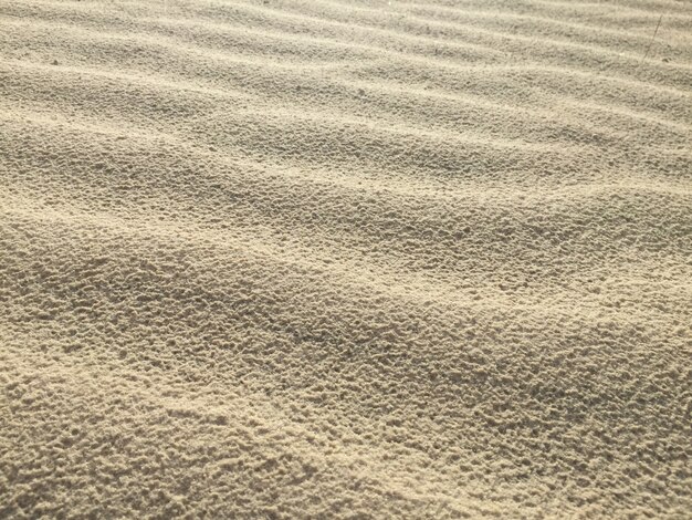 Dunas de arena