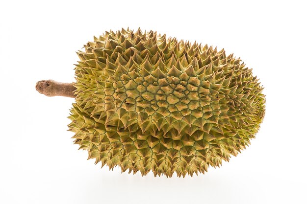 Durian entero sobre fondo blanco