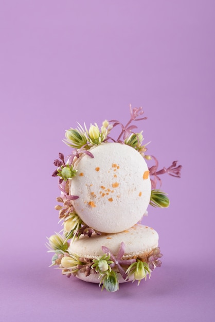 Foto gratuita eco macarons con arreglo de plantas