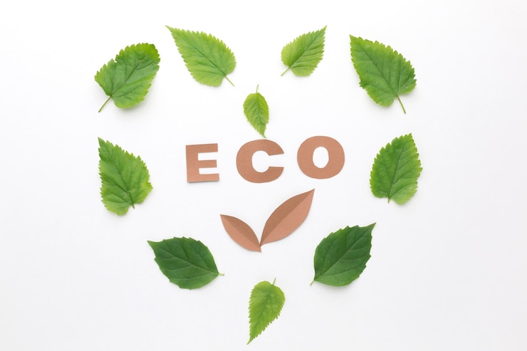 Foto gratuito eco muestra con marco de hojas
