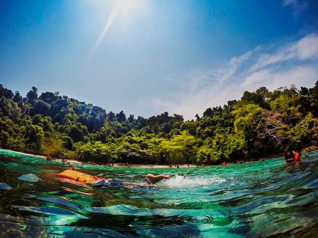 Foto gratuita ecología ambiental orgánica al aire libre verde