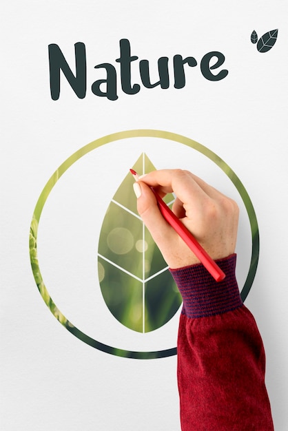 Ecología Medio Ambiente Salvar La Tierra Orgánica