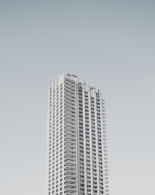 Edificio alto solo negocio en blanco