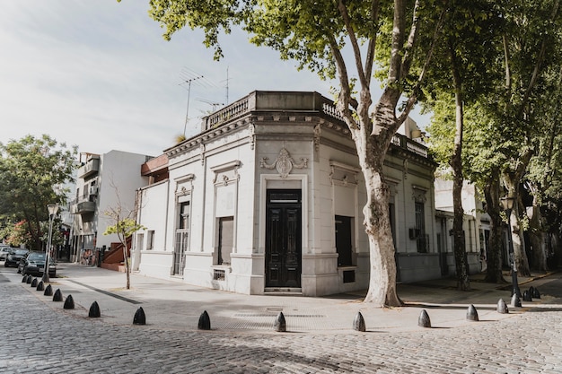 Edificio en la ciudad con árboles y calle.