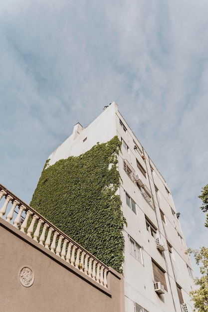 Edificio de la ciudad con vegetación.