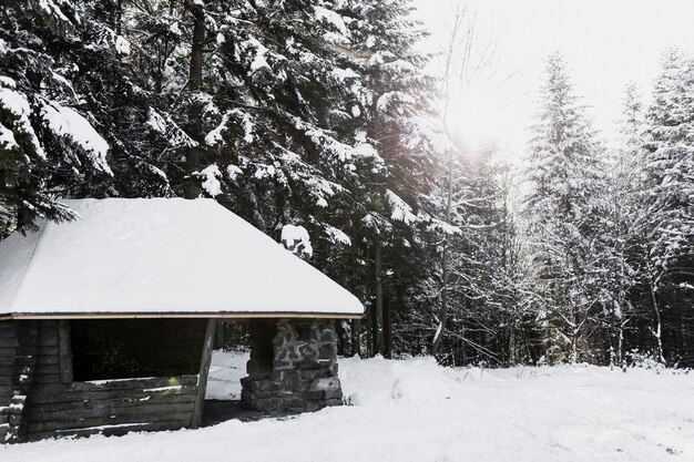 Edificio de madera en bosque de invierno