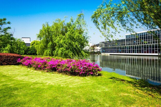 Edificio de oficinas con río