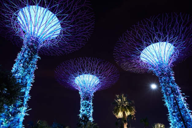 edificios noche carácter urbano de Singapur