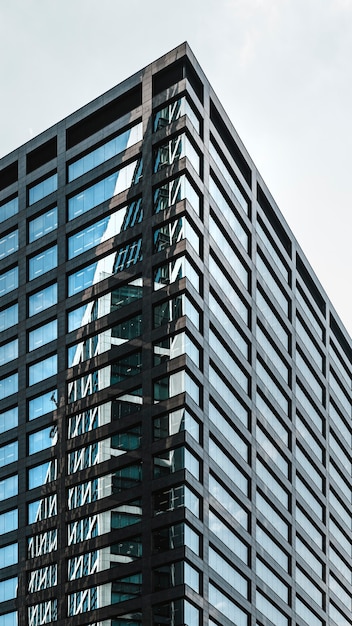 Edificios de oficinas de rascacielos modernos de baja vista