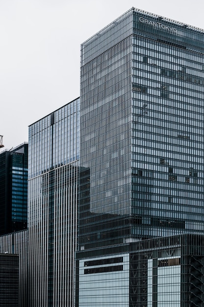 Edificios rascacielos en la ciudad.