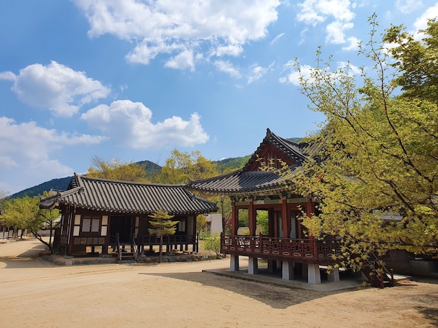 Edificios tradicionales coreanos bajo un cielo azul
