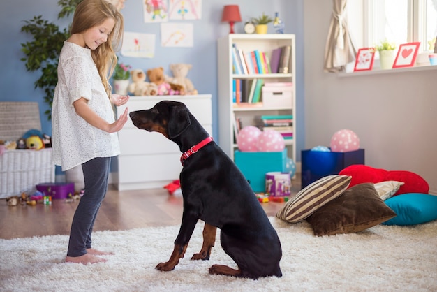 Educar a un perro exige mucha paciencia