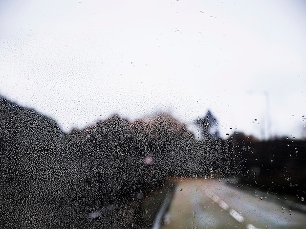 Efecto de lluvia sobre fondo de carretera