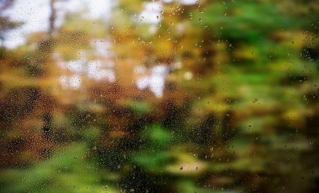 Efecto de lluvia sobre fondo de naturaleza