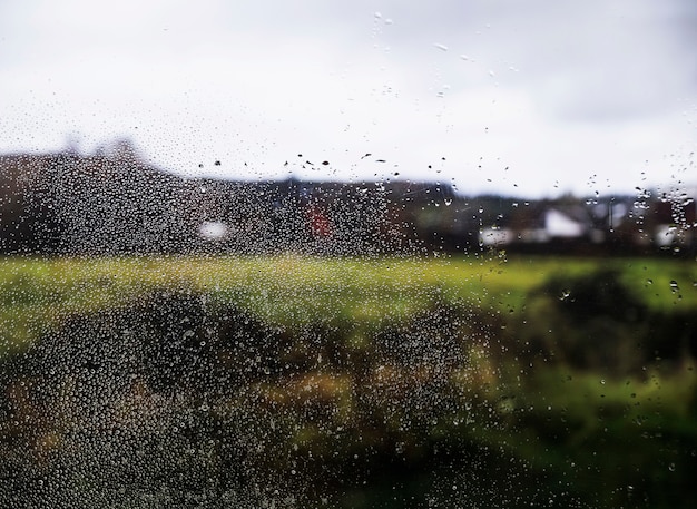 Efecto de lluvia sobre fondo de naturaleza