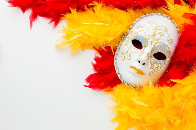 Foto gratuita elegante máscara de carnaval con plumas