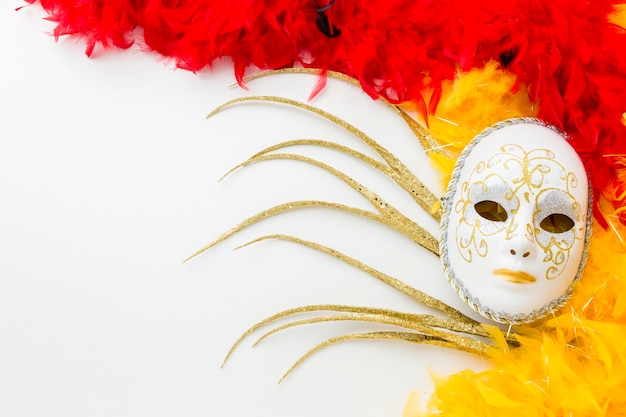 Foto gratuita elegante máscara de carnaval y plumas