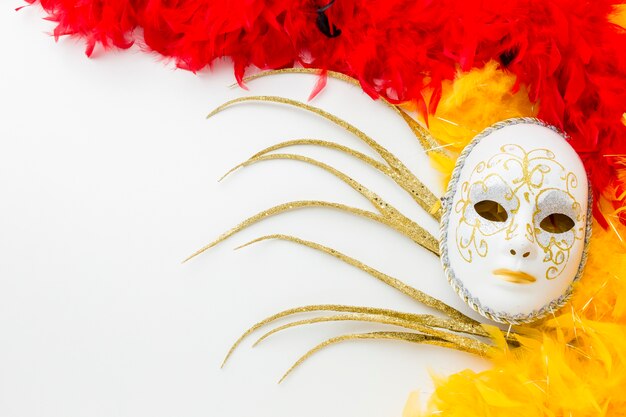 Elegante máscara de carnaval y plumas