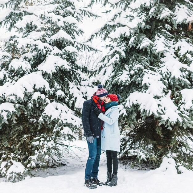 Elegante pareja amorosa en bosques nevados