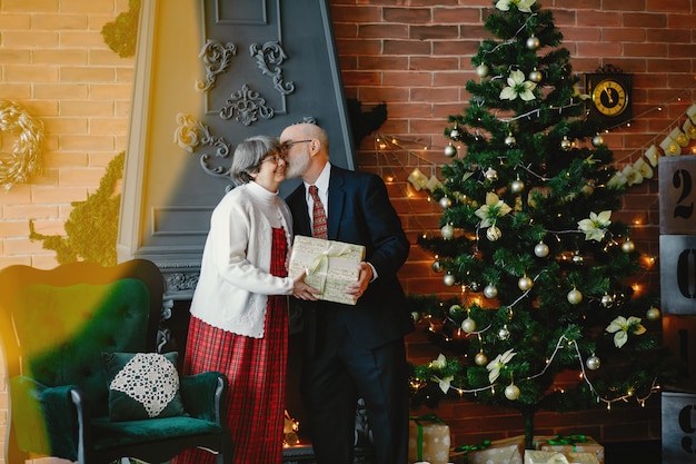 Una elegante pareja de ancianos está celebrando la navidad.