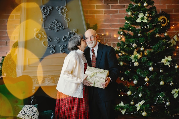 Una elegante pareja de ancianos está celebrando la navidad.