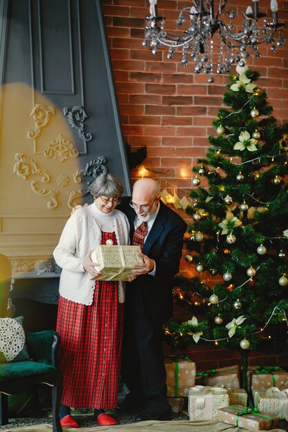 Una elegante pareja de ancianos está celebrando la navidad.