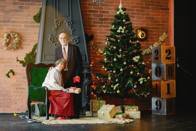 Una elegante pareja de ancianos está celebrando la navidad.