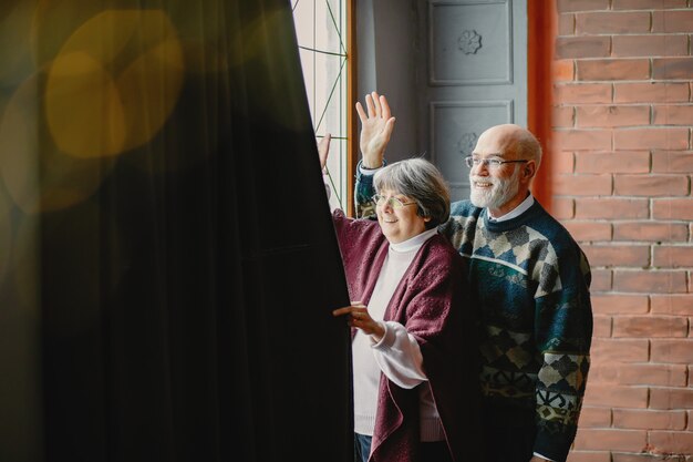 Una elegante pareja de ancianos está celebrando la navidad.