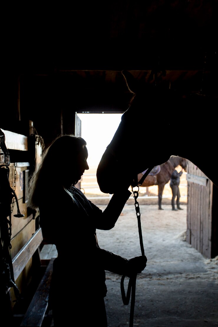 Foto gratuito elegante silueta de caballo contra el cielo del amanecer