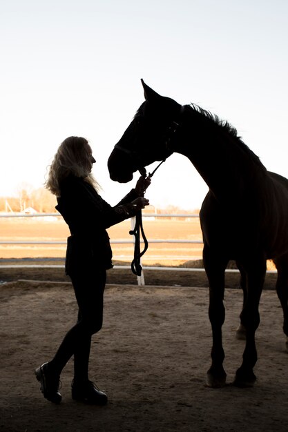 Elegante silueta de caballo contra el cielo del amanecer