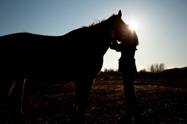 Elegante silueta de caballo contra el cielo del amanecer