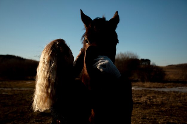 Elegante silueta de caballo contra el cielo del amanecer