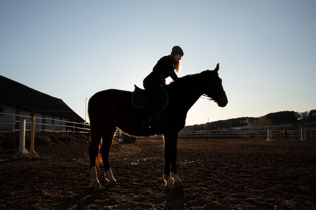 Foto gratuita elegante silueta de caballo contra el cielo del amanecer