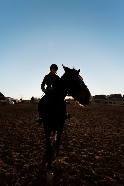 Elegante silueta de caballo contra el cielo del amanecer