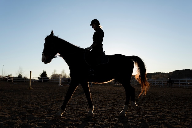 Elegante silueta de caballo contra el cielo del amanecer